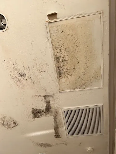Mold Experts of SWFL Picture 8