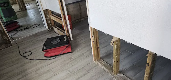 Mold Experts of SWFL Picture 1