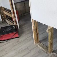 Mold Experts of SWFL ico