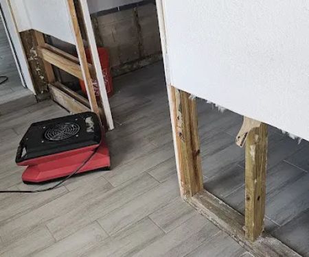 Mold Experts of SWFL