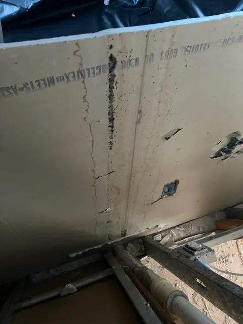 Mold Experts of SWFL Picture 7