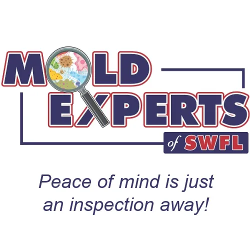 Mold Experts of SWFL Picture 9