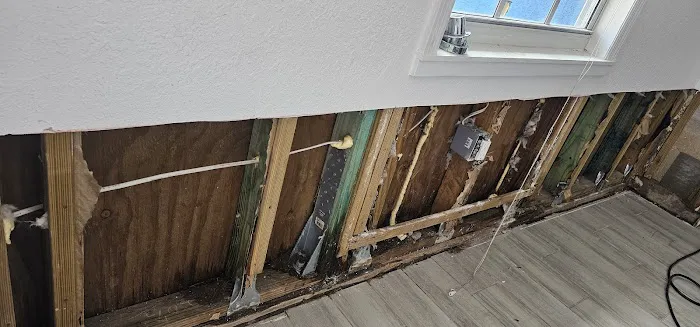 Mold Experts of SWFL Picture 3