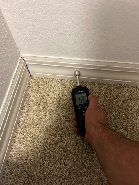 Mold Experts of SWFL Picture 4