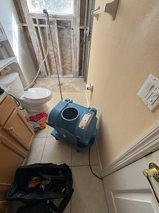 Apex Mold Experts Picture 3