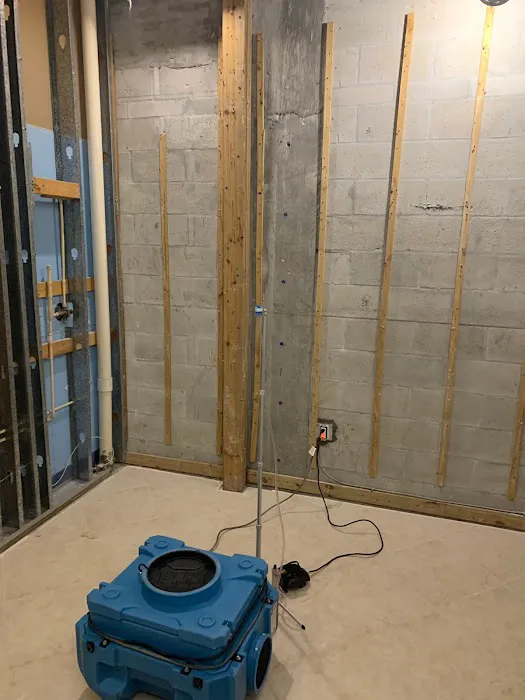 Apex Mold Experts Picture 4