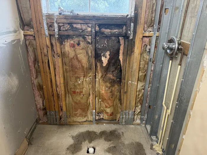 Apex Mold Experts Picture 8