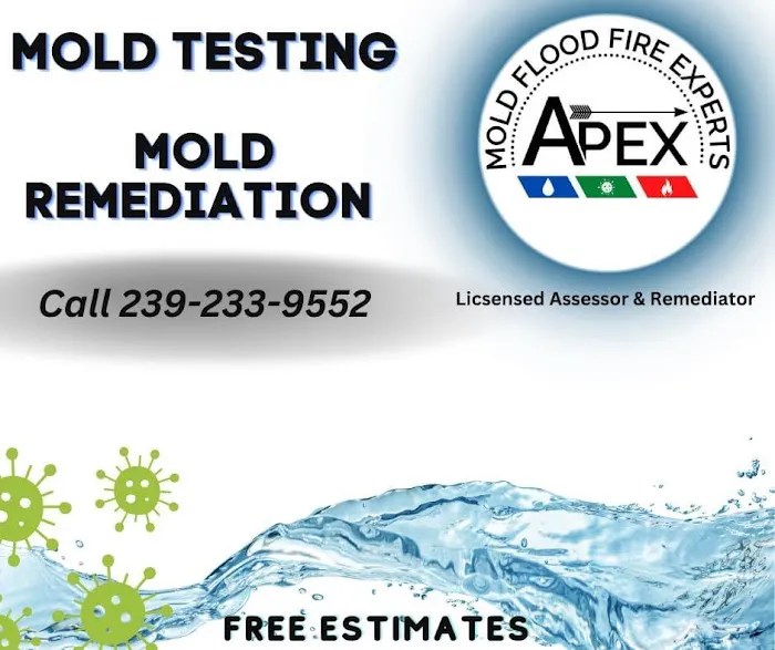 Apex Mold Experts Picture 6