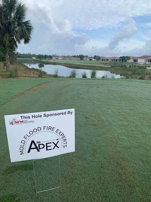 Apex Mold Experts Picture 10