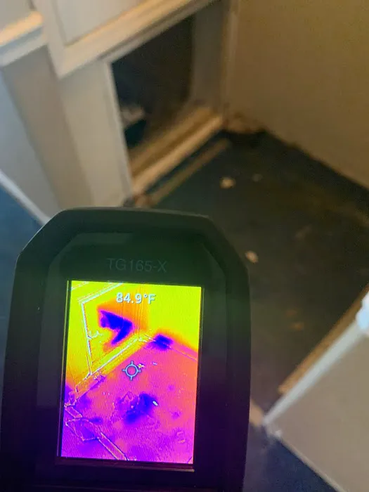 Apex Mold Experts Picture 9