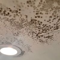 Apex Mold Experts ico