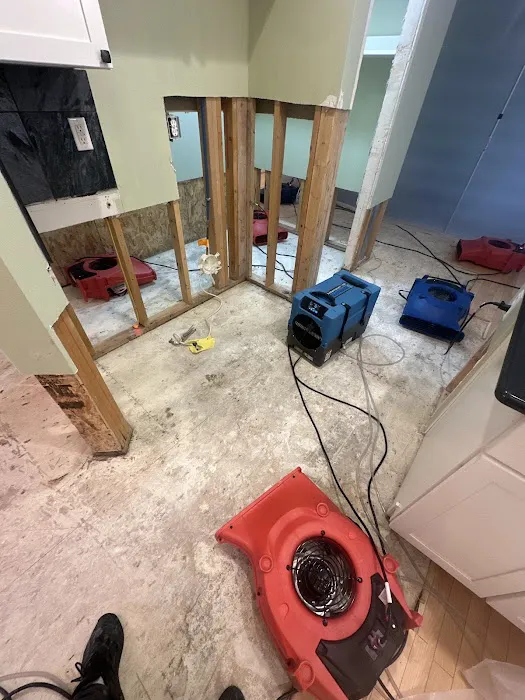 Eco Water Restoration Picture 10