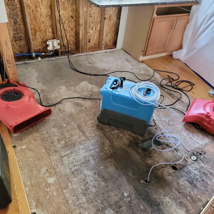 Eco Water Restoration Picture 5