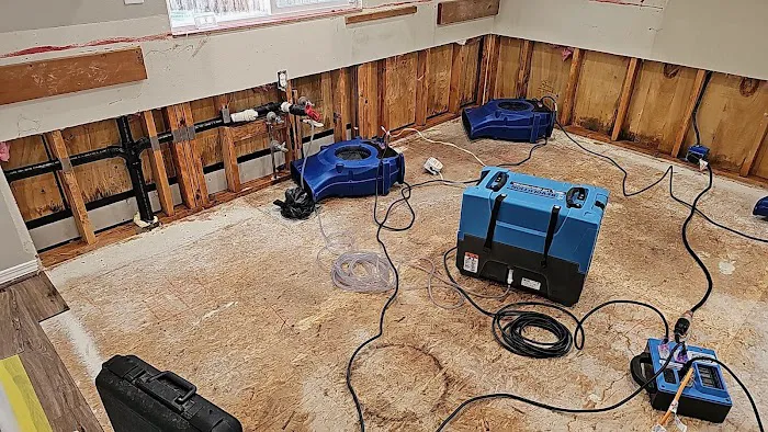 Eco Water Restoration Picture 1