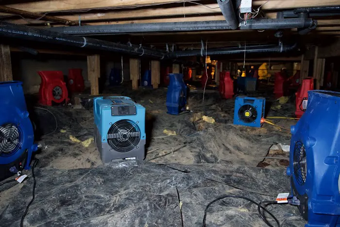 Eco Water Restoration Picture 2