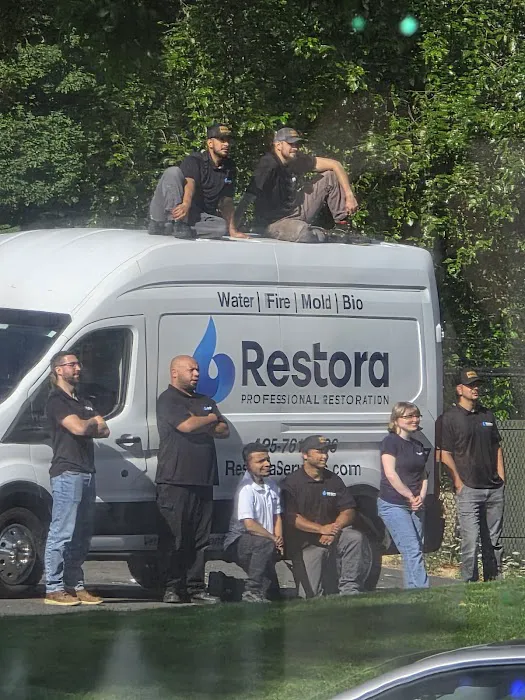 Restora Services Picture 2