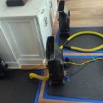 Premier Emergency Water Removal