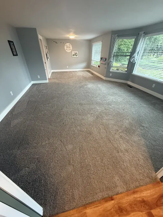 Stanley Steemer Picture 5