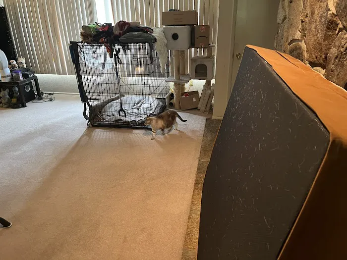 Stanley Steemer Picture 6