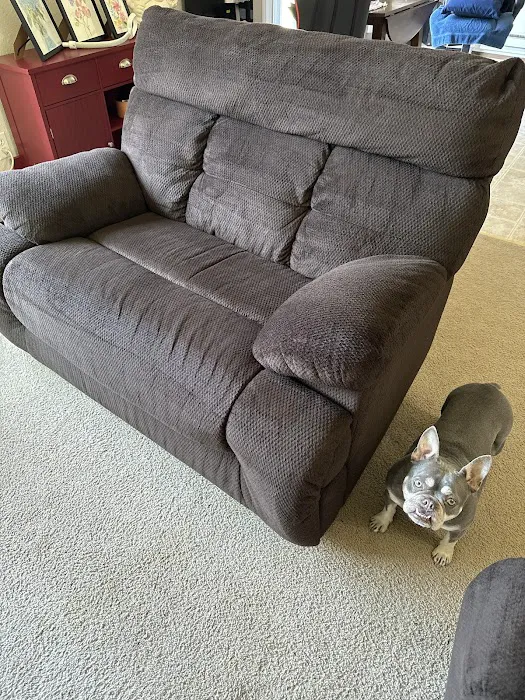 Stanley Steemer Picture 8