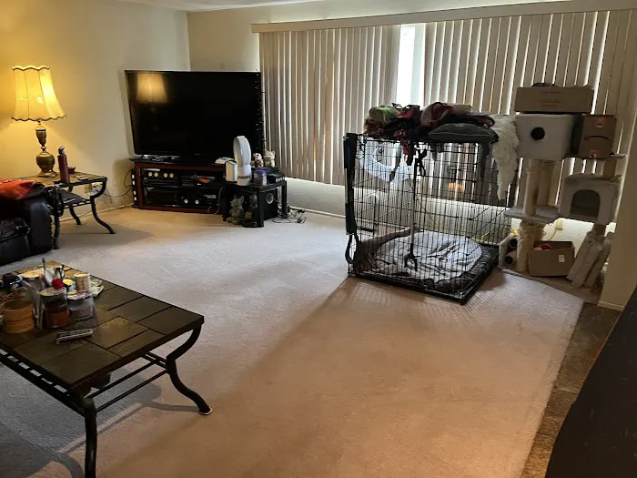 Stanley Steemer Picture 1