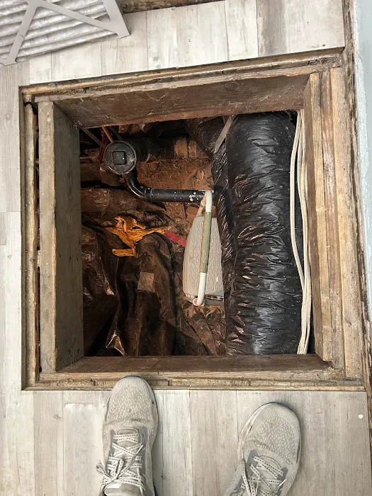 Stanley Steemer Picture 10