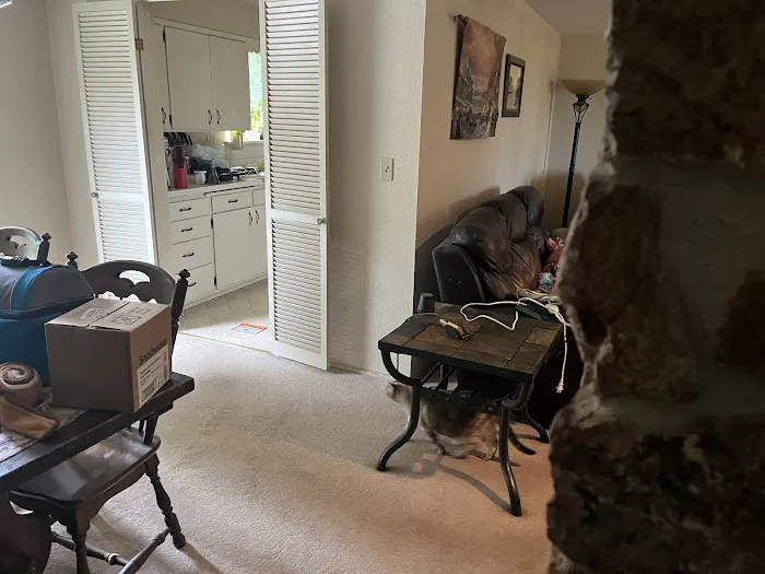 Stanley Steemer Picture 9