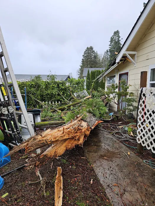 RESTORx of Washington Picture 3