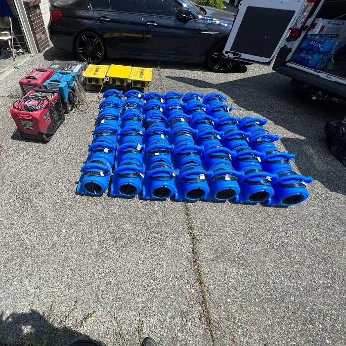 DisasterPro Picture 9