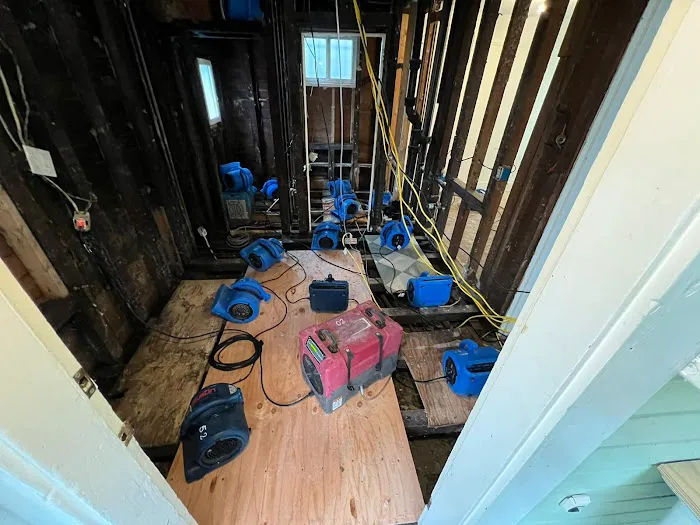 DisasterPro Picture 1