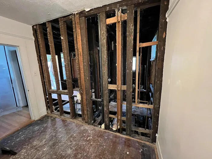 DisasterPro Picture 8