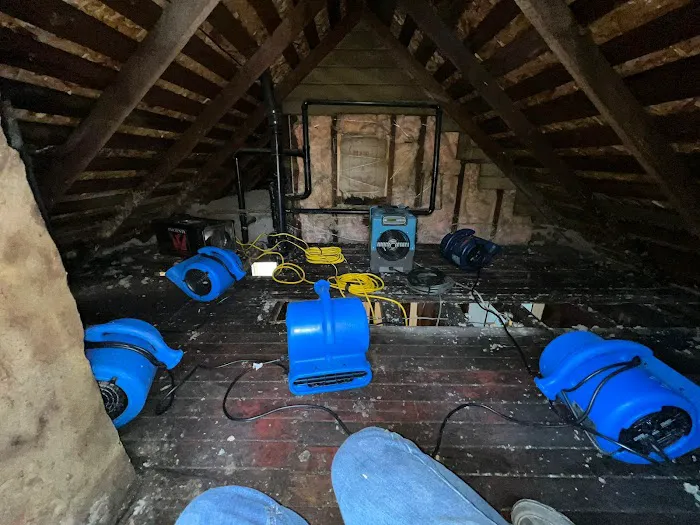 DisasterPro Picture 2