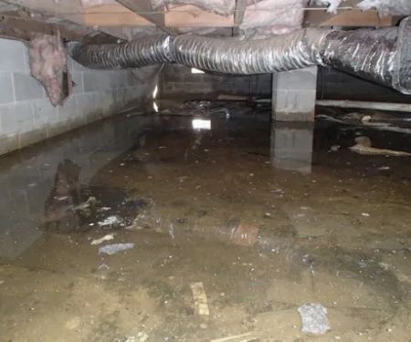 Vela Water Damage