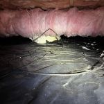 Northwest Crawl Space Services