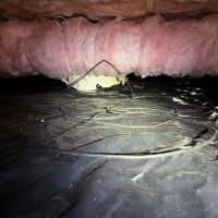 Northwest Crawl Space Services ico