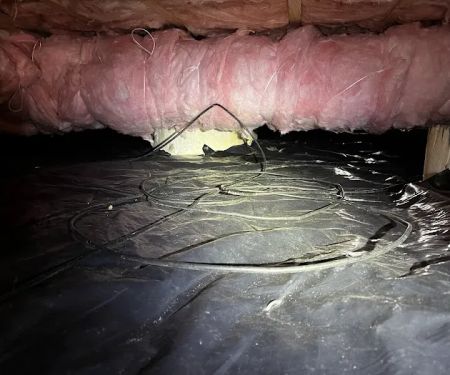 Northwest Crawl Space Services