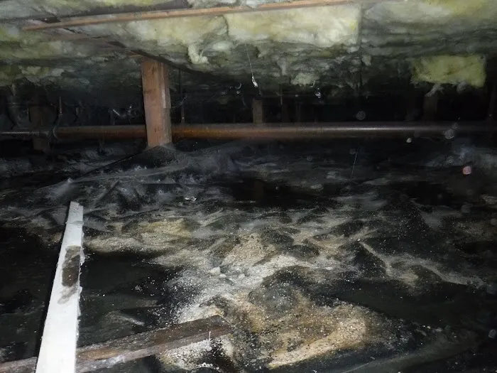 The Flood Guys - Water, Fire, Mold & Storm Picture 4