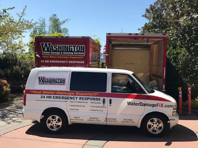 Washington Water Damage & Cleaning Services Picture 6