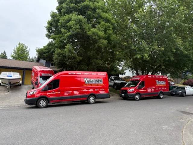 Washington Water Damage & Cleaning Services Picture 10