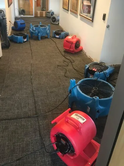 Washington Water Damage & Cleaning Services Picture 8