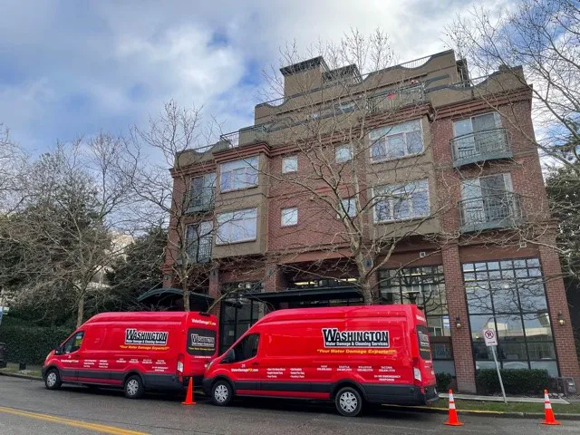 Washington Water Damage & Cleaning Services Picture 1