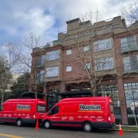 Washington Water Damage & Cleaning Services ico