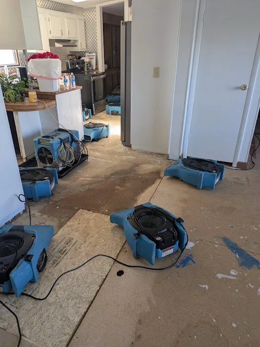 4pros Restoration Picture 2