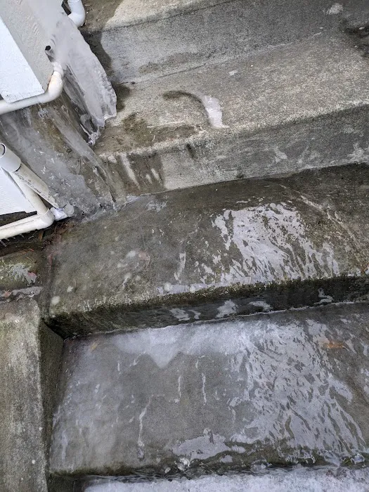 4pros Restoration Picture 8