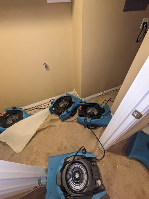 4pros Restoration Picture 3