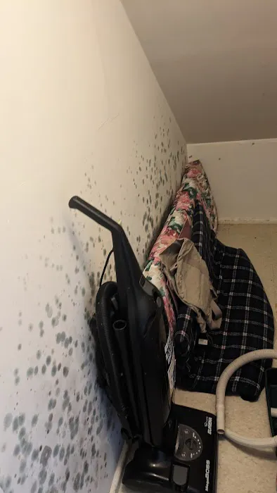 4pros Restoration Picture 9