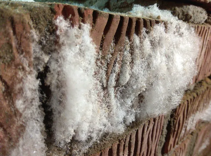 Ozone Wave Picture 10