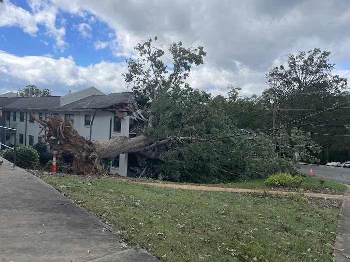 BluSky Restoration Contractors Picture 10