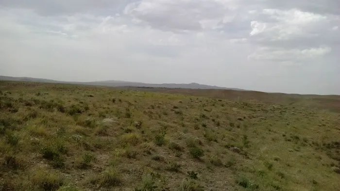 24/7 Flood & Fire Picture 7