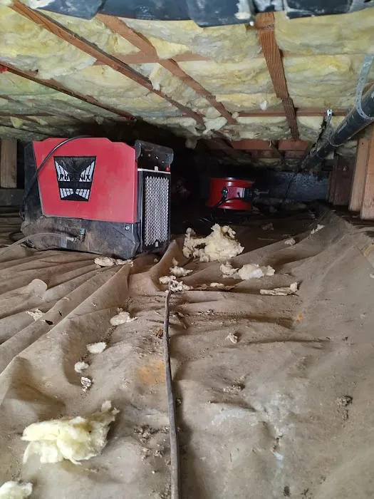 National Restoration Construction LLC Picture 7